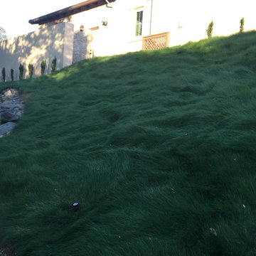 El Dorado Hills - Serrano Complete Landscape