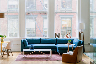 Living room - contemporary living room idea in New York