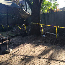 Backyard Renovation
