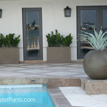 patio/outdoor
