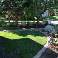 Landscape Ideas