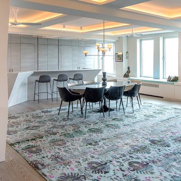 Apartment residence 5th Avenue New York, New York