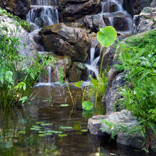 Outdoor pond