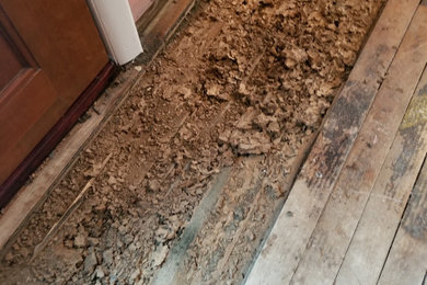 termite damage hardwood floor repair