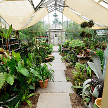 Greehouse