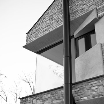 Picture House
