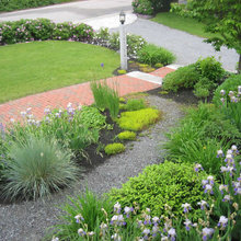 Landscape Ideas