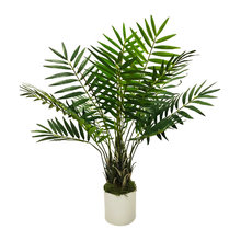 silk plants