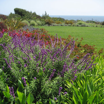 Modern Malibu Beachside Landscaping