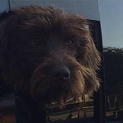 Matt Mankin's photo