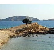 Foto de Giulia Andrighetto
