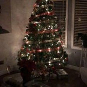 Rick Barker-Maiochi's photo
