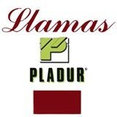 Foto de perfil de Decoraciones Llamas