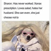 Shelly Logan's photo
