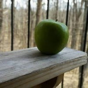 Carol Luiggi's photo