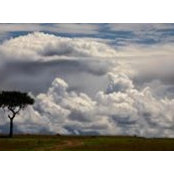 Gary Ackerman's photo
