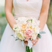 Josephine Douglas's photo