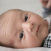Foto von Lottie Stokes