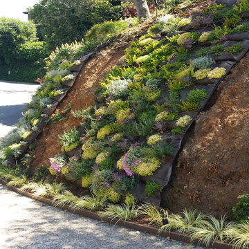 Garden Design