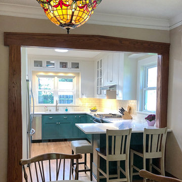 Project 3350-1 Traditional Kitchen Remodel with Solatubes in Northrop Minneapoli