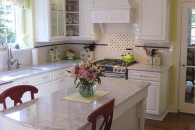 Kitchen - traditional kitchen idea in Detroit