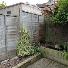 Luke’s Garden