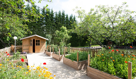 Que faire dans son jardin au mois de mars ?