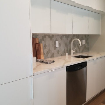 Queen Anne, Seattle -Condo Renovation