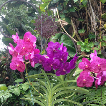 Tropical Garden & Flower Installation in Key West