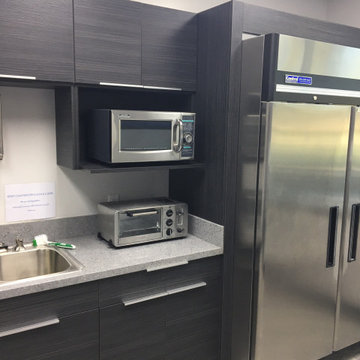 FRAMELESS EUROPEAN STYLE KITCHEN CABINETS WITH QUARTZ COUNTERTOPS