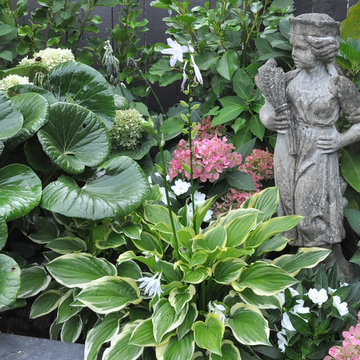 Planting detail: Figuring in the hostas and hydrangeas