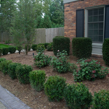 Front Yard Boxwood and Hardscape