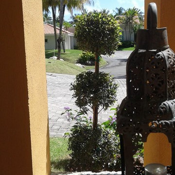 Couple’s dream Mediterranean landscape fulfilled