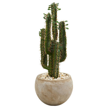 2.5' Cactus Artificial Plant, Bowl Planter