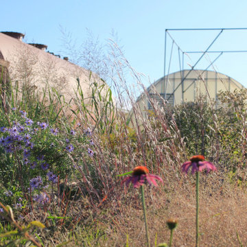 Pollinator Garden at Babikow Greenhouses