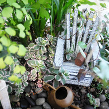 Patio Ideas