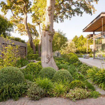 Constantia Pavilion