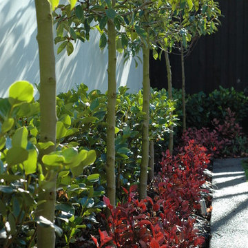Fendalton Residence