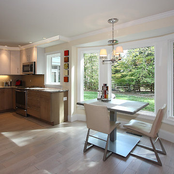 Potomac, MD | Contemporary Kitchen