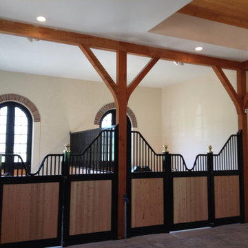 Equestrian