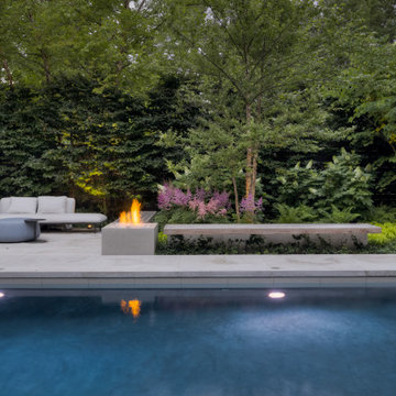 Forest Hill Modern Backyard