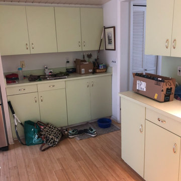 Mid-Century Dream