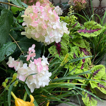 Exterior Living & Garden Designs