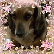 Kathy Fant's photo