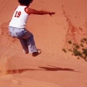Ann Harvins foto