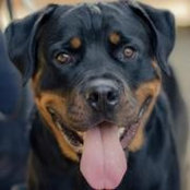 Katy Spagnola's photo