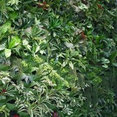 Apex Intertrade, LLC's profile photo