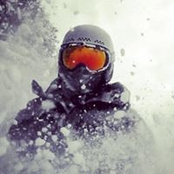 Shane Niederklein's photo