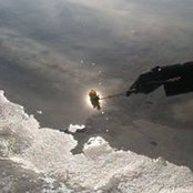 Noelle Mason's photo