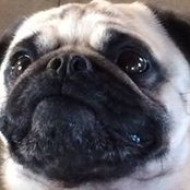 Wally Wally's photo